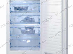 Холодильник Gorenje FI4118W (170798, ZODI1126) - Фото